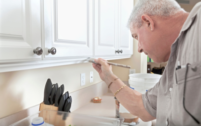 What’s the best paint for kitchen cabinets?